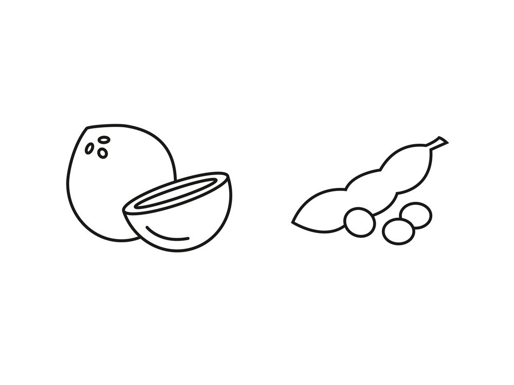 A selection of fruits and beans